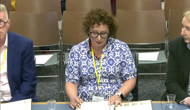 Picture of Panel Co-Chair Leanne McCormick at TEO Committee Meeting